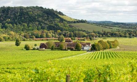 Denbies Wine Estate
