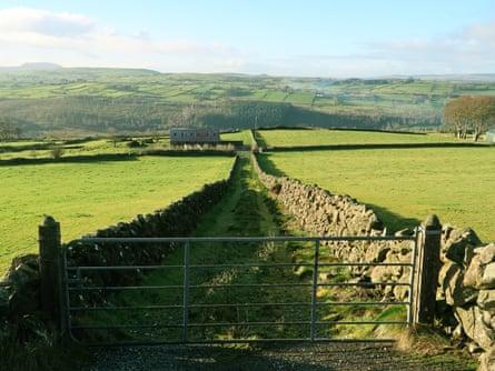 Glenarm Braes, Northern Ireland
