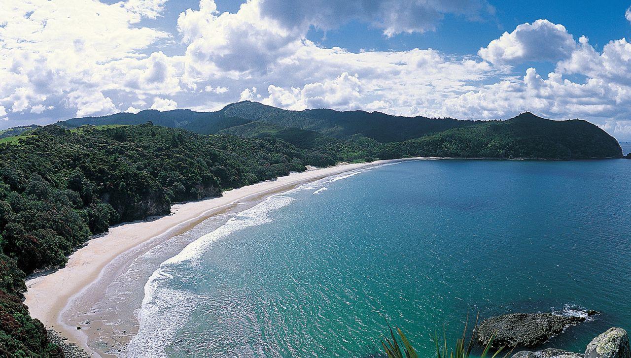 New Chums Beach: Untouched Coromandel.