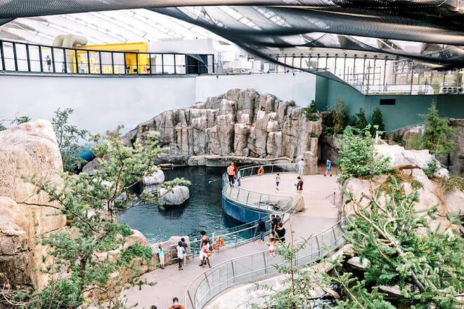 Montreal Biodome — Pierre De Coubertin Avenue