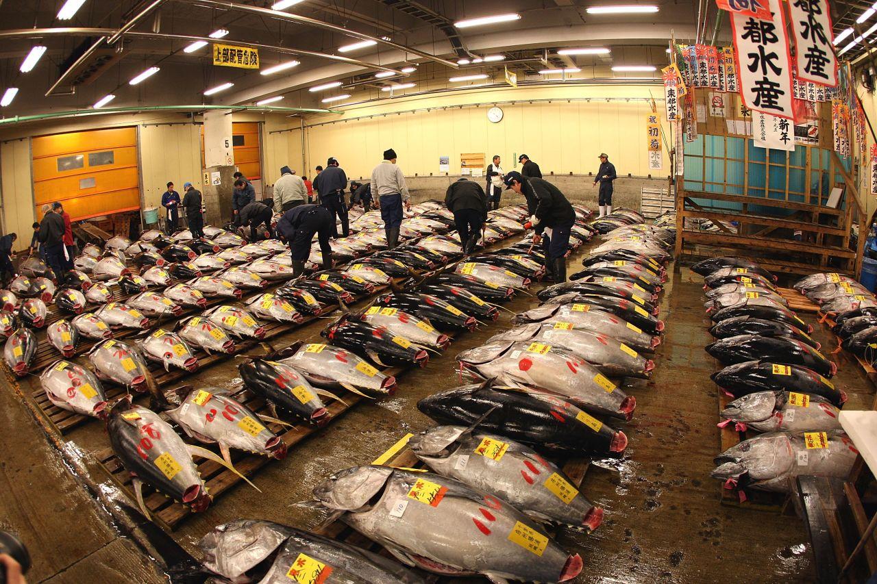 Great shedloads of tuna at Tsukji fish market.