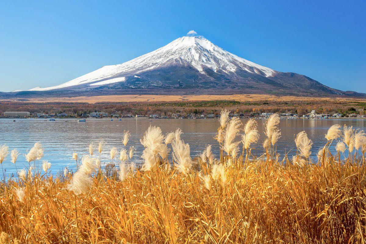 Morning mood at Lake Yamanaka with Mount Fuji in the background, Japan - © Luciano Mortula / Shutterstock