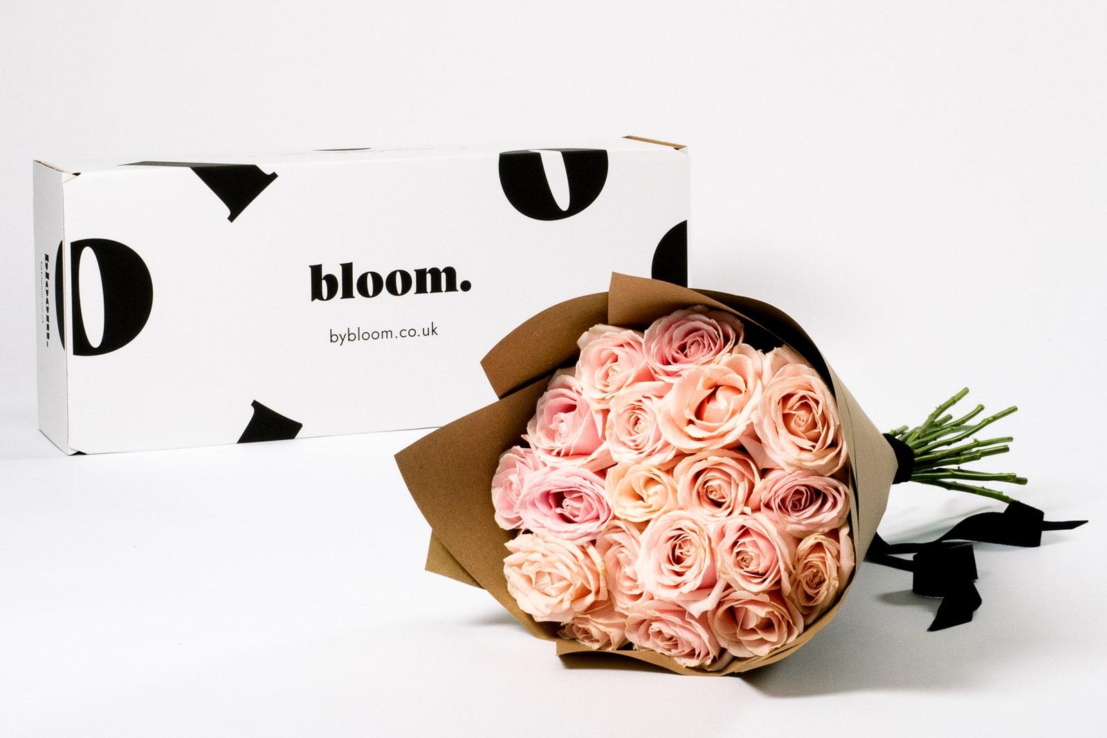 Bloom