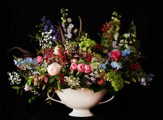 Flowers from Scarlet  Violet