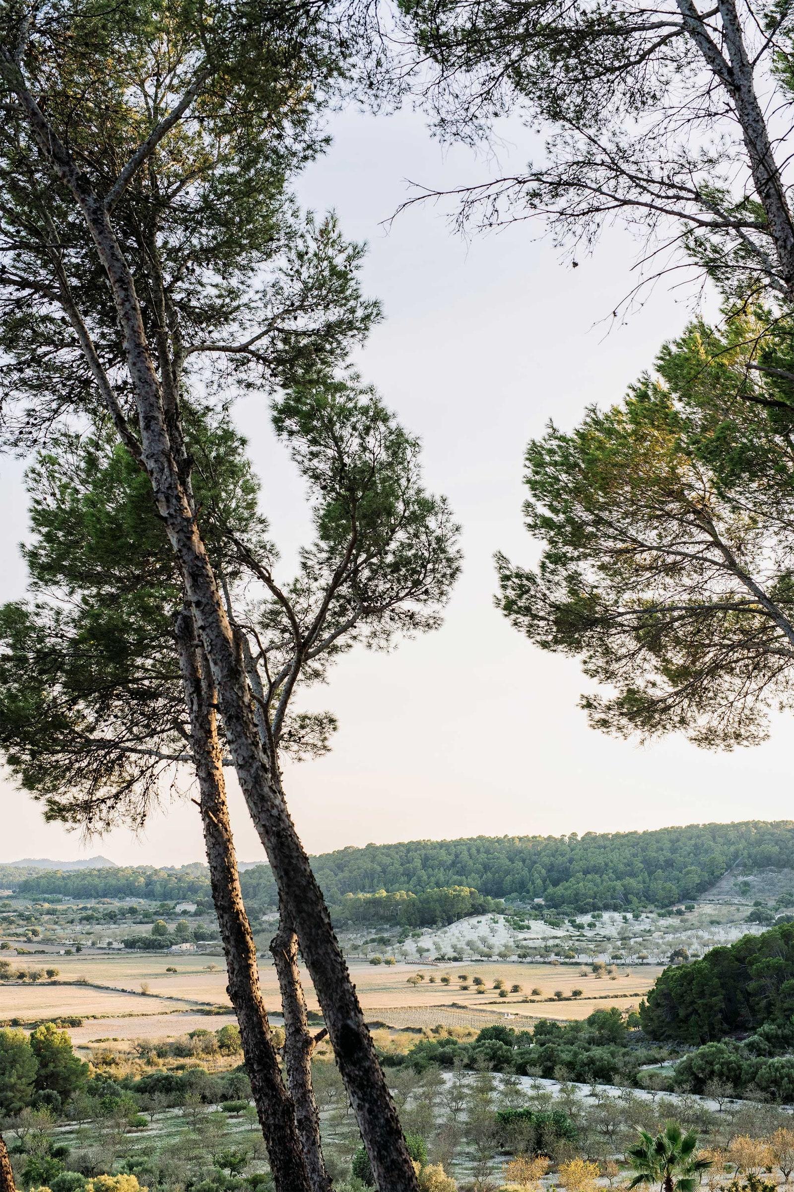 Countryside at Osa Major