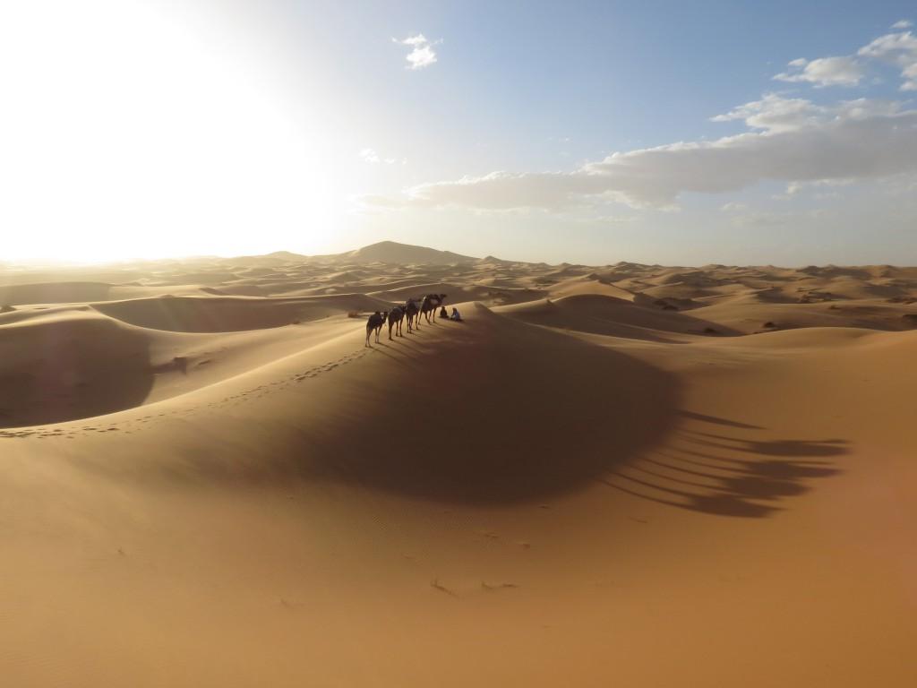 Marokko erleben Rundreise Wüste Sahara